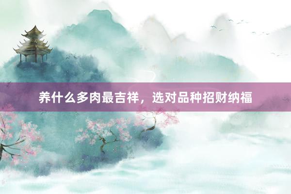 养什么多肉最吉祥，选对品种招财纳福