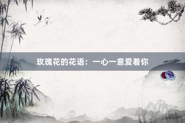 玫瑰花的花语：一心一意爱着你