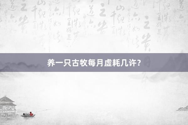 养一只古牧每月虚耗几许?