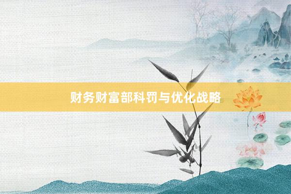 财务财富部科罚与优化战略